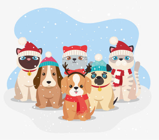 Pet holidays