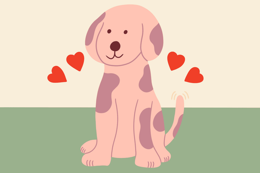 8 Ways to Help Your Dog Live Longer
