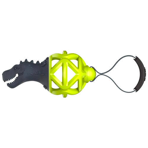 GiGwi Dinoball Edge Series