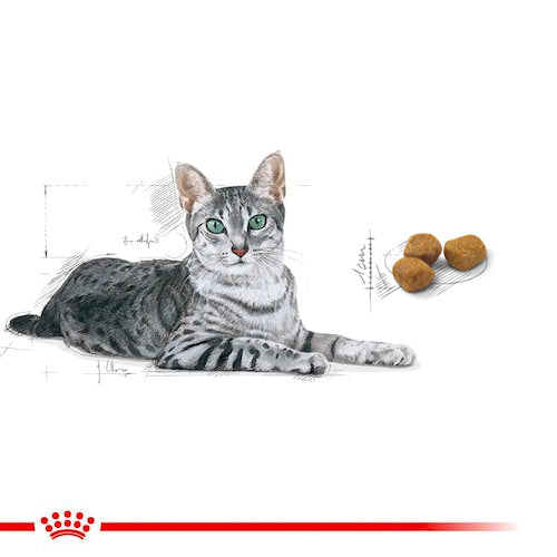 ROYAL CANIN® Feline Health Nutrition Home Life Indoor 7+ Dry Food