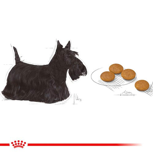 ROYAL CANIN® Dermacomfort Mini Adult Dry Food