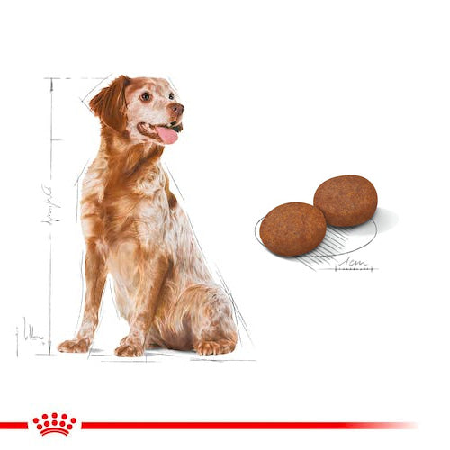 ROYAL CANIN® Size Health Nutrition Medium Adult 7+ Dry Food