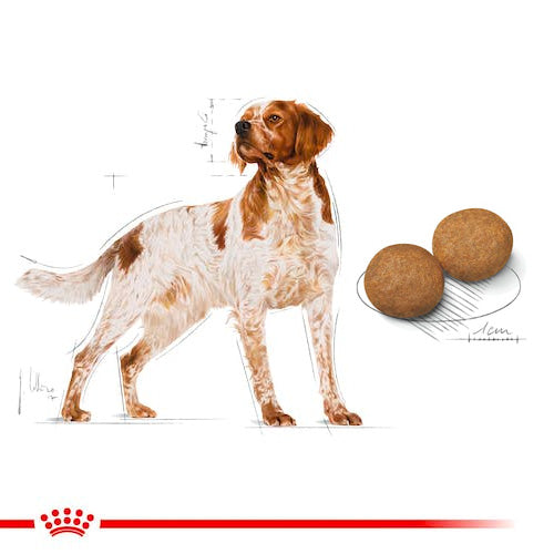 ROYAL CANIN® Size Health Nutrition Medium Adult Dry Food