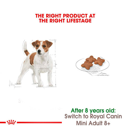 ROYAL CANIN® Size Health Nutrition Mini Adult Dry Food