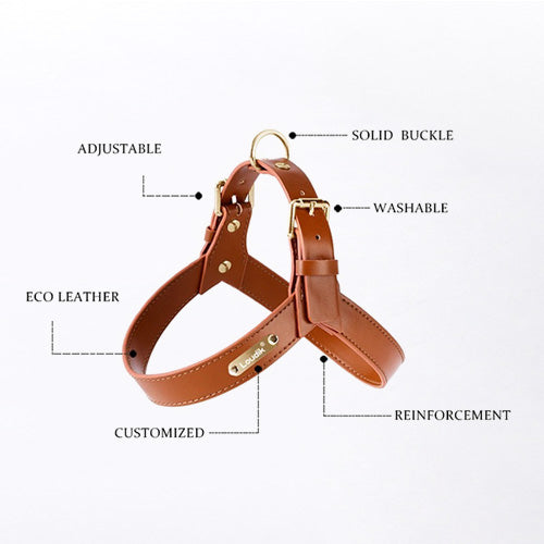 Artie Leather Harness