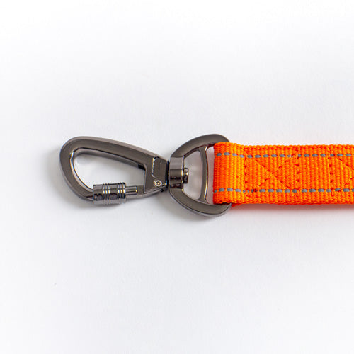 Bungee 2in1 stretchable Leash with Car Safety Buckle