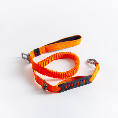 Bungee 2in1 stretchable Leash with Car Safety Buckle