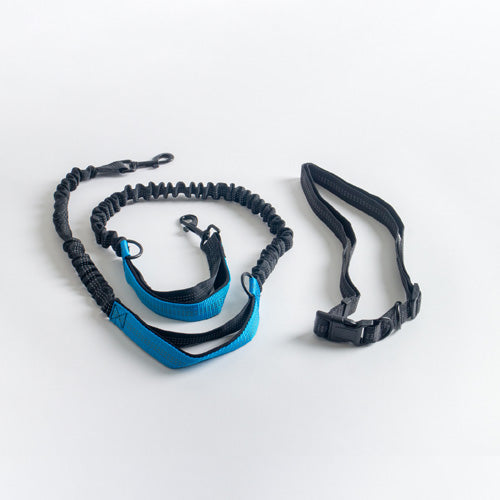 Bungee No Pull Hands Free Dog Leash
