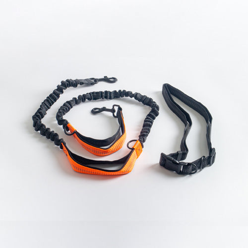 Bungee No Pull Hands Free Dog Leash