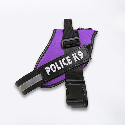 Butch Police K9 Harness - Pooch Pet Stores LLC
