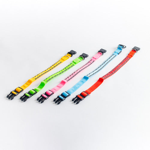 GLO Rechargable LED Collar