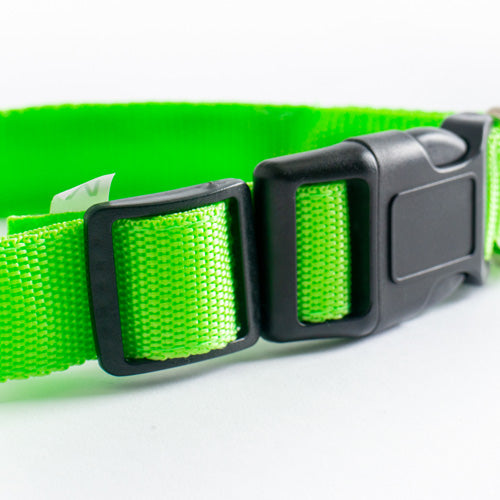 GLO Rechargable LED Collar