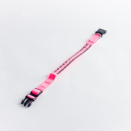 GLO Rechargable LED Collar