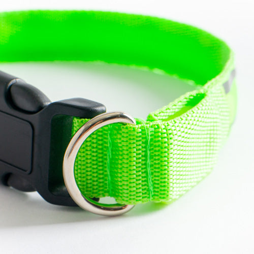 GLO Rechargable LED Collar