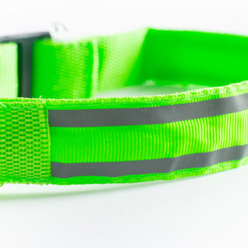 GLO Rechargable LED Collar
