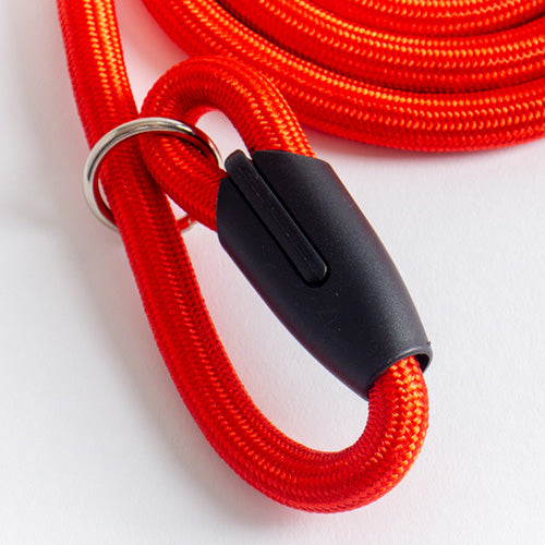 Noa Training Slip Lead Rope Leash