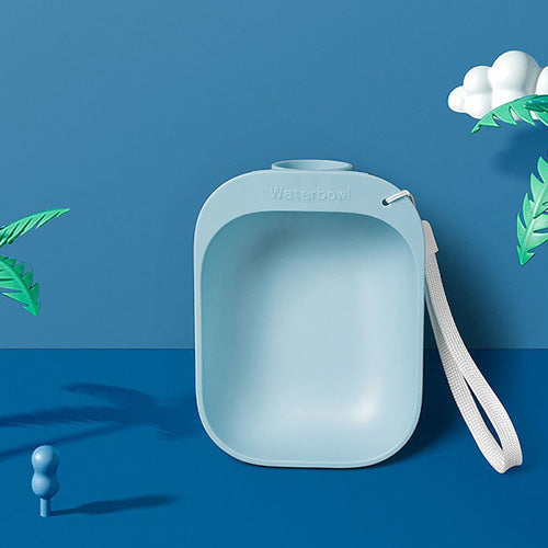 Screw-On Water Bottle Bowl