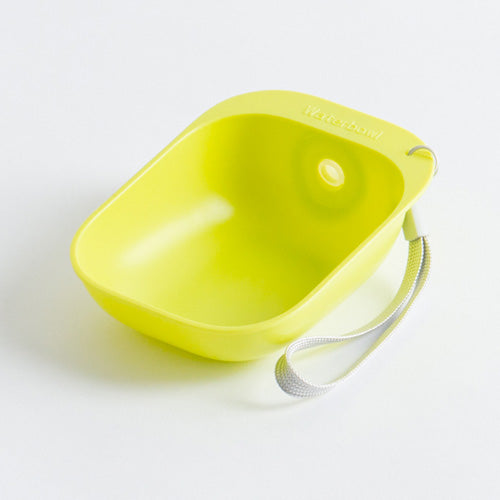 Screw-On Water Bottle Bowl