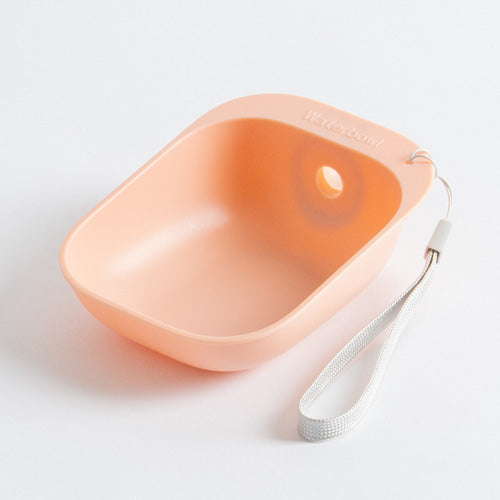 Screw-On Water Bottle Bowl