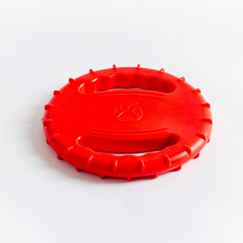 Squeaky Dog Frisbee