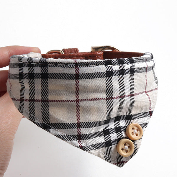 Quinn Classic Collar & Bandana with Leash