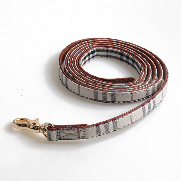 Quinn Classic Collar & Bandana with Leash