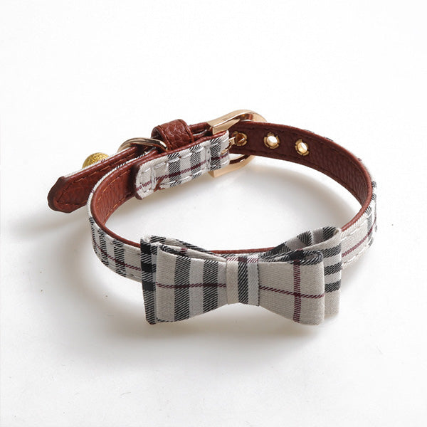 Quinn Classic Collar & Bandana with Leash