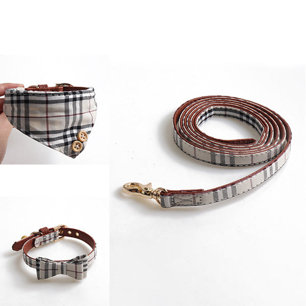 Quinn Classic Collar & Bandana with Leash