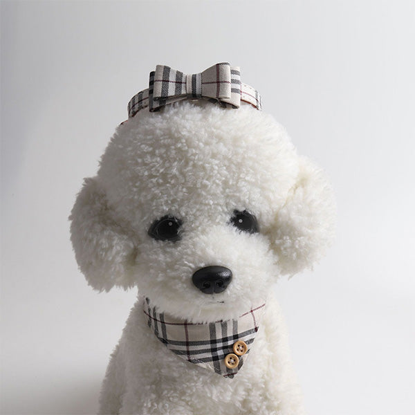 Quinn Classic Collar & Bandana with Leash