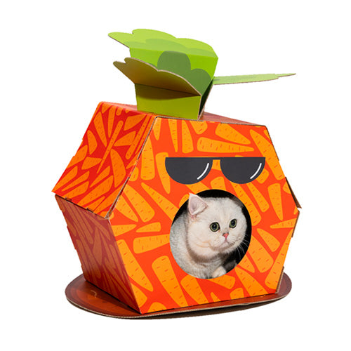 FOFOS Cardboard Cat House With Scratching Pad for Small cats and Kittens