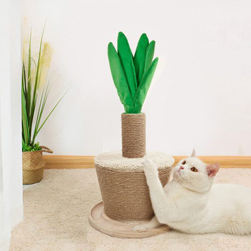 FOFOS Cat Scratchers