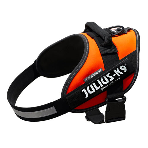 Julius K9® IDC® High Visibility Powerharness