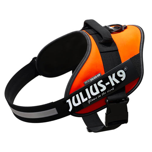 Julius K9® IDC® High Visibility Powerharness