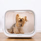 PETKIT AirSalon Smart Pet Dryer Box