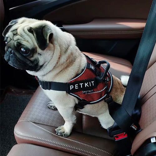 PETKIT Seat Belt Restraint Strap