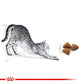 ROYAL CANIN® Feline Health Nutrition Home Life Indoor 27 Dry Food