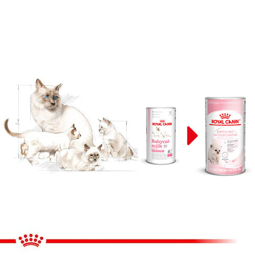 ROYAL CANIN® Babycat Milk Replacer Feed