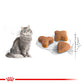 ROYAL CANIN® Feline Health Nutrition Regular Sensible 33 Dry Food