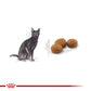 ROYAL CANIN® Feline Health Nutrition Regular Sterilised 37 Dry Food