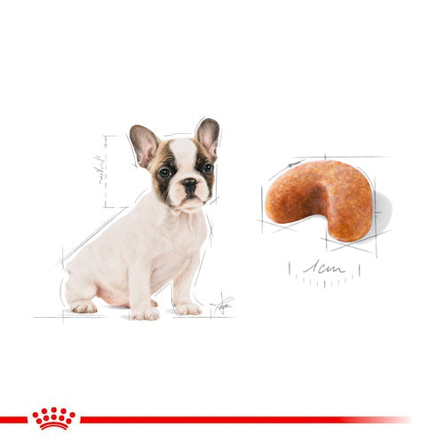 ROYAL CANIN® French Bulldog Puppy Dry Food