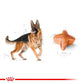 ROYAL CANIN® German Shepherd Adult Dry Food