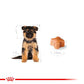 ROYAL CANIN® German Shepherd Puppy Dry Food