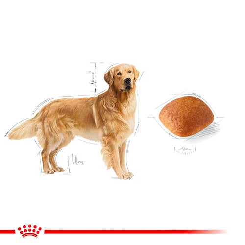 ROYAL CANIN® Golden Retriever Adult Dry Food