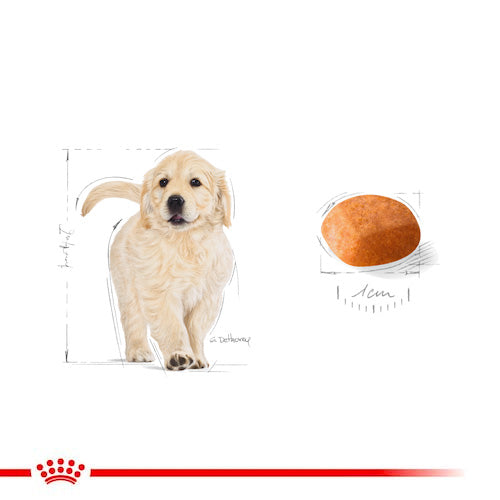 ROYAL CANIN® Golden Retriever Puppy Dry Food