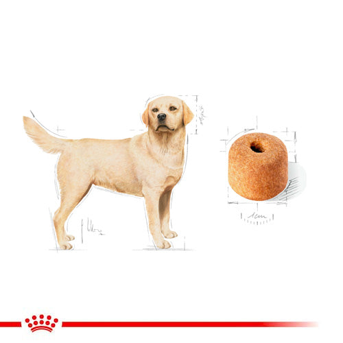 ROYAL CANIN® Labrador Adult Dry Food