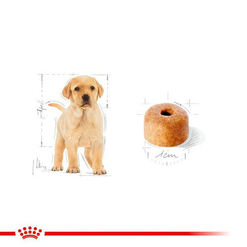 ROYAL CANIN® Labrador Puppy Dry Food