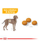 ROYAL CANIN® Maxi Dermacomfort Adult Dry Food