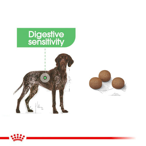 ROYAL CANIN® Maxi Digestive Care Dry Food