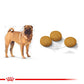 ROYAL CANIN® Medium Dermacomfort Adult Dry Food