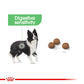 ROYAL CANIN® Medium Digestive Care Dry Food